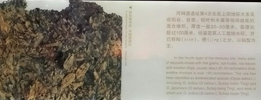 &#29233;&#28216;&#25103;&#23448;&#26041;&#32593;&#31449;&#45;&#29233;&#28216;&#25103;&#20840;&#31449;&#65;&#80;&#80;&#40;&#97;&#121;&#120;&#41;&#20013;&#22269;&#23448;&#26041;&#32593;&#31449;